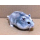 Hamster white blue