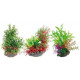 Mix plant 22 cm | aquaristics