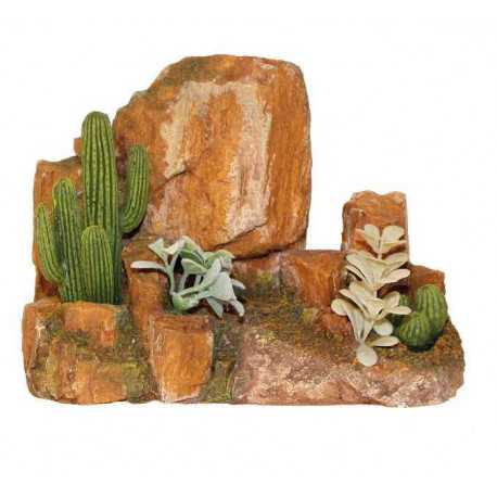 Stone cactus L