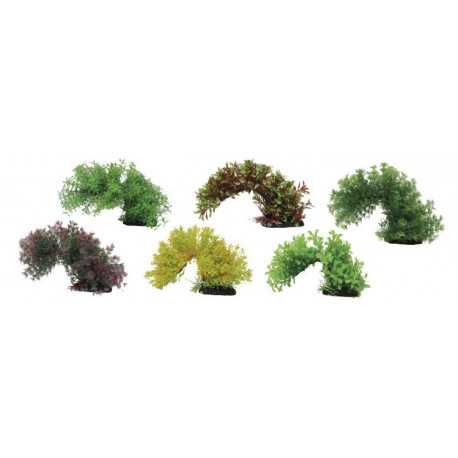 Plant Branch 15-20cm | aquaristics