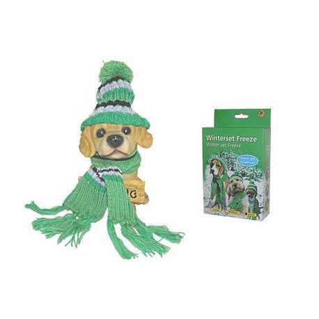 Winter set for dogs - hat, scarf S for dogs and cats