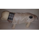 Trixie waistcoat Toulouse for dogs and cats