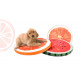 Molitanové ležadlo Pomaranč 65x5cm pre psov a mačky