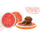 Foam Paddle Melon 65x5cm for dogs and cats