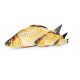 Toy Fish Kapor for dogs and cats