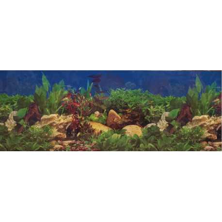 Double-sided wallpaper 30cm / 1m type E1 | aquaristics