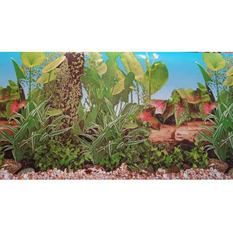 One-sided wallpaper 50cm/1m type A | aquaristics