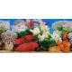 Double-sided wallpaper 50cm/1m type J | aquaristics