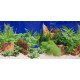 Double-sided wallpaper 50cm/1m type J | aquaristics