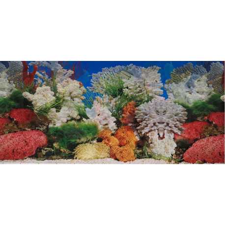 Double-sided wallpaper 50cm/1m typ K | aquaristics