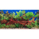 Double-sided wallpaper 50cm/1m typ K | aquaristics