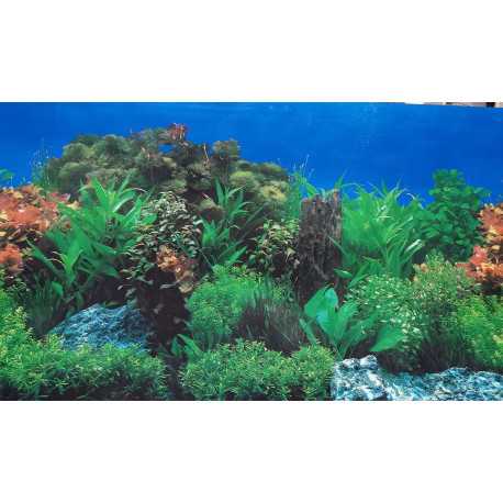 One-sided wallpaper 50cm/1m type H | aquaristics