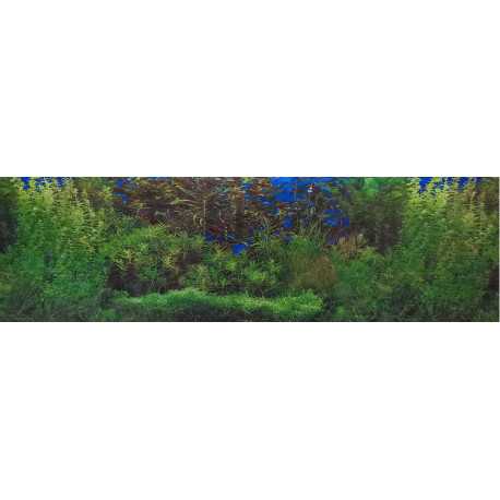 Double-sided wallpaper 60cm/1m type A | aquaristics