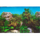 Double-sided wallpaper 60cm/1m type C | aquaristics