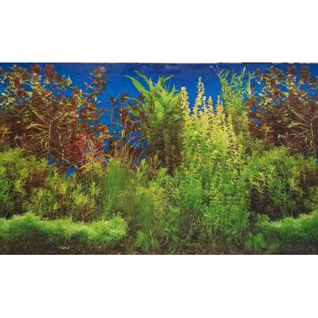 Double-sided wallpaper 60cm/1m typ E | aquaristics