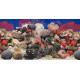 Double-sided wallpaper 60cm/1m typ F | aquaristics