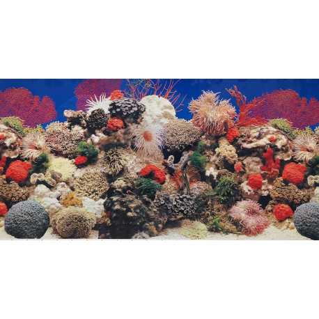 Double-sided wallpaper 60cm/1m typ F | aquaristics