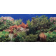 Double-sided wallpaper 60cm/1m typ F | aquaristics