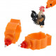 Feed and feeders for poultry and rabbits Feeder for chickens, chickens and quails T10