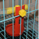 Feed and feeders for poultry and rabbits Feeder for chickens, chickens and quails T19