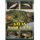 Atlas of our fish | book