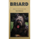 Briard - Vše, co o něm potřebujete vědět