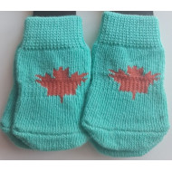 Ponožky zelené s listom M pre psov a mačky