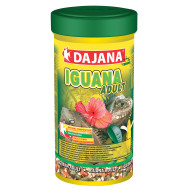Dajana Iguana Adult 1l | Teraristika