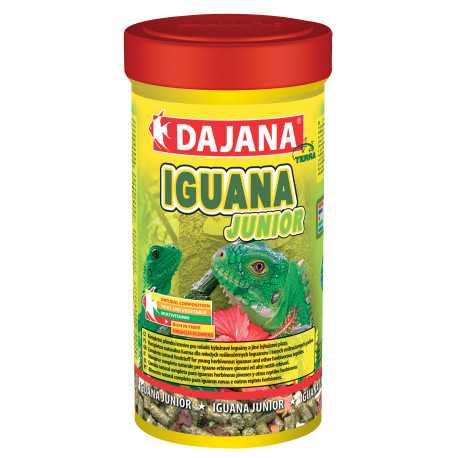 Dajana Iguana Junior 500ml | Teraristika