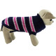 Fashion and clothes for the dog Black striped sweater