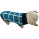 Fashion and clothes for the dog Blue checkered sweater