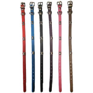 Obojok gumový pre psov a mačky 31cm pre mačky