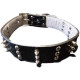 Leatherette collar with spikes 3.8x67cm for cats