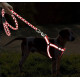 Nylon guides for dogs Reflective nylon harness with 25-40cm leash