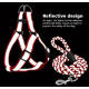 Nylon guides for dogs Reflective nylon harness with 40-70cm leash