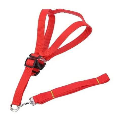 Nylon guides for dogs Nylon harness with leash 54-80cm