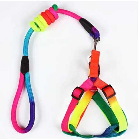 Nylon guides for dogs Nylon rainbow harness with leash 29-42cm