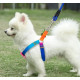 Nylon guides for dogs Nylon rainbow harness with leash 29-42cm