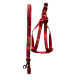 Nylon guides for dogs Nylon harness Bones with leash 25-38cm
