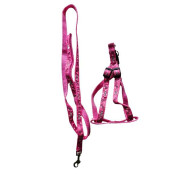 Nylon guides for dogs Havko nylon harness with leash 25-35cm