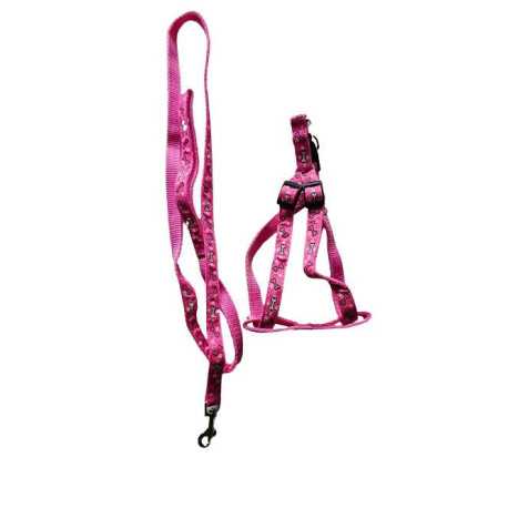 Nylon guides for dogs Havko nylon harness with leash 25-35cm