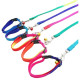 Nylon guides for dogs Nylon rainbow collar with a 35cm leash