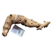 Dekorace do akvária Přírodní Mopan 1