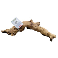 Decorations for aquariums Natural Mopan 7