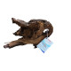 Decorations for aquariums Natural Mopan 9