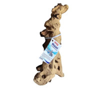 Decorations for aquariums Natural Mopan 10