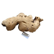 Decorations for aquariums Natural Mopan 17