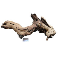 Decorations for aquariums Natural Mopan 18