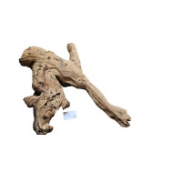 Decorations for aquariums Natural Mopan 19