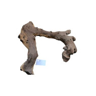 Dekorácia do akvária Prírodný Mopan 21